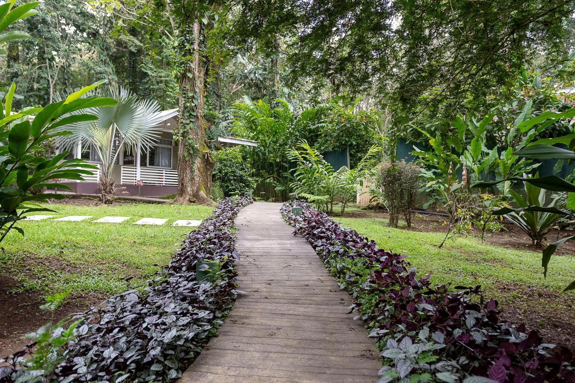 Jaguar Inn Bungalows Puerto Viejo de Talamanca Екстер'єр фото