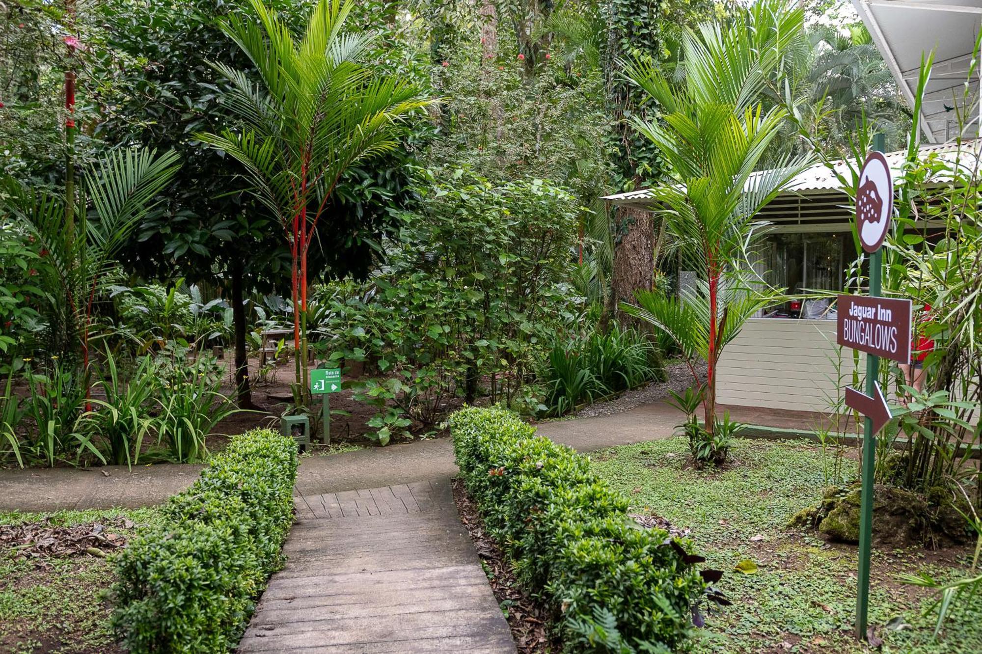 Jaguar Inn Bungalows Puerto Viejo de Talamanca Екстер'єр фото