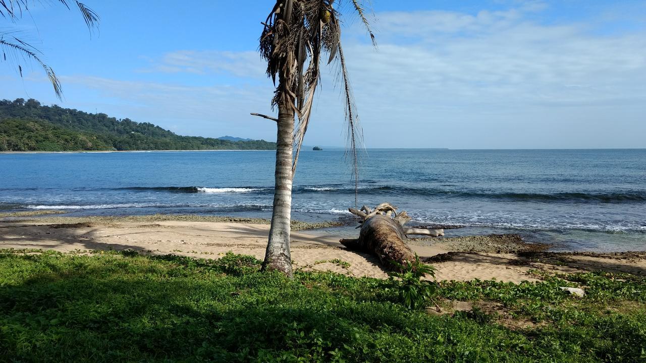 Jaguar Inn Bungalows Puerto Viejo de Talamanca Екстер'єр фото